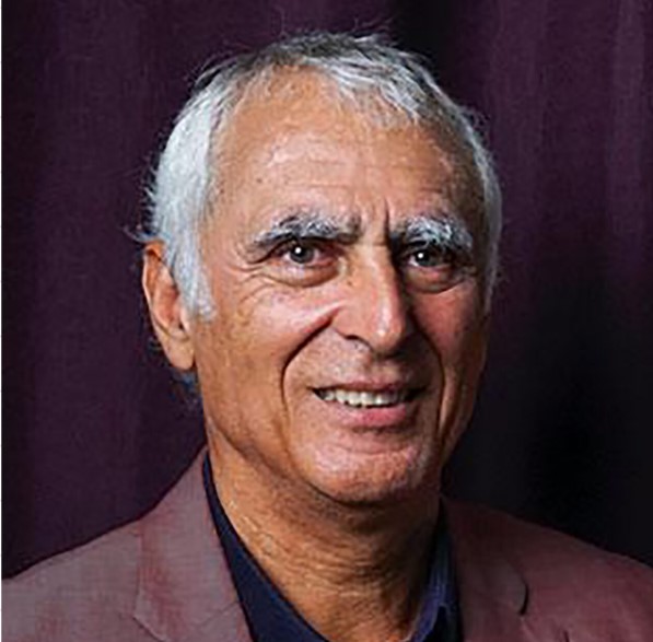 michael salla